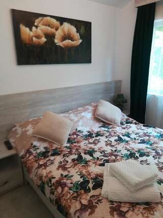 Гостевой дом Casa Liana Синая Апартаменты с 1 спальней-19