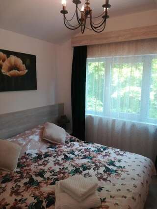 Гостевой дом Casa Liana Синая Апартаменты с 1 спальней-20