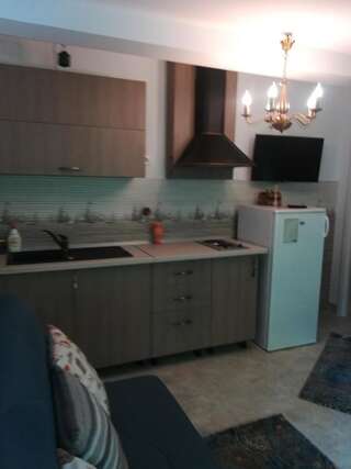 Гостевой дом Casa Liana Синая Апартаменты с 1 спальней-25