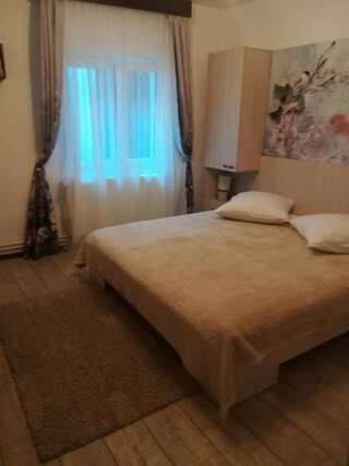 Гостевой дом Casa Liana Синая Двухместный номер с 1 кроватью и собственной ванной комнатой-24