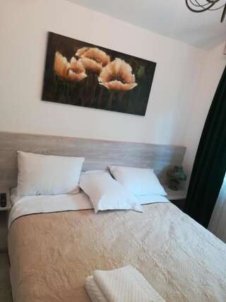 Гостевой дом Casa Liana Синая Двухместный номер с 1 кроватью и собственной ванной комнатой-27