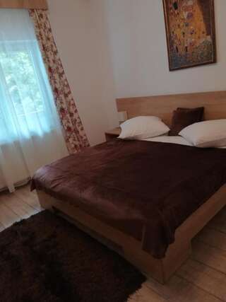 Гостевой дом Casa Liana Синая Двухместный номер с 1 кроватью и собственной ванной комнатой-56