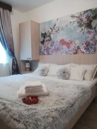 Гостевой дом Casa Liana Синая Двухместный номер с 1 кроватью и собственной ванной комнатой-59